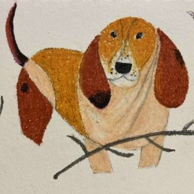 Charlie Harper Animals Intermediate: In Oil Pastel