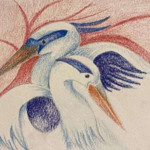 Charley Harper Birds Beginner: In Colored Pencil