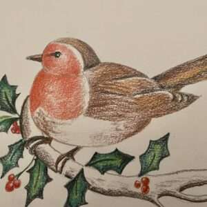Winter Birds Beginner Group Lesson